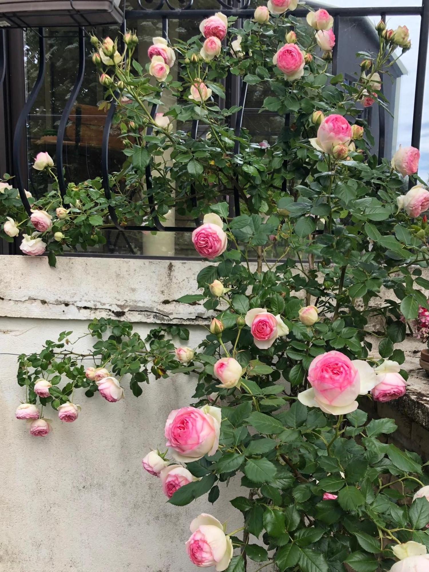 Le Jardin Des Verottes 博讷 外观 照片
